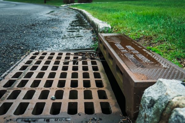Cost of Storm Drain Repair in Springfield