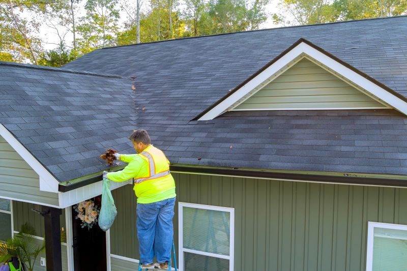 Gutter and Drainage Maintenance